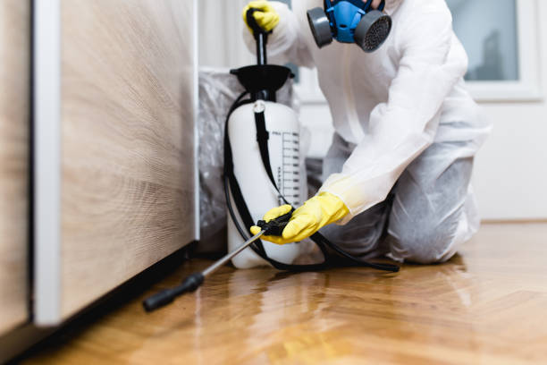Best Rat Extermination Near Me  in Miami Shores, FL