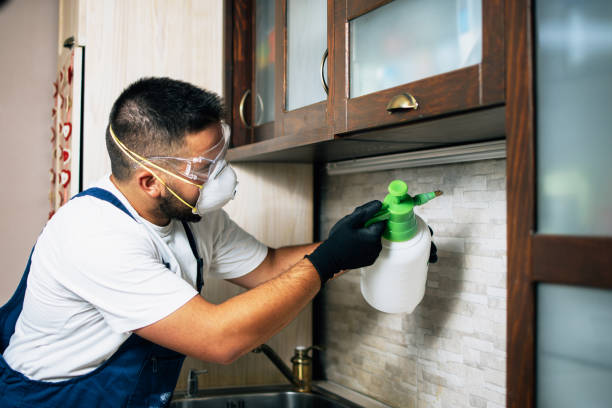 Best Residential Pest Control  in Miami Shores, FL