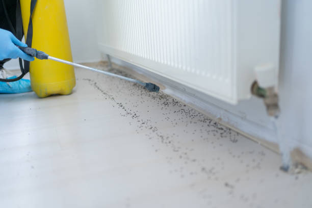Pest Control for Restaurants in Miami Shores, FL